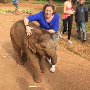 Meet your Posher, Kathy